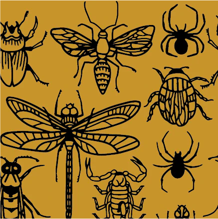 Creepy Crawlies Crew Socks - Image 8