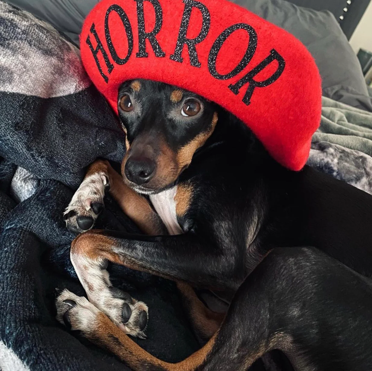 Vegan Beret - HORROR - Image 6