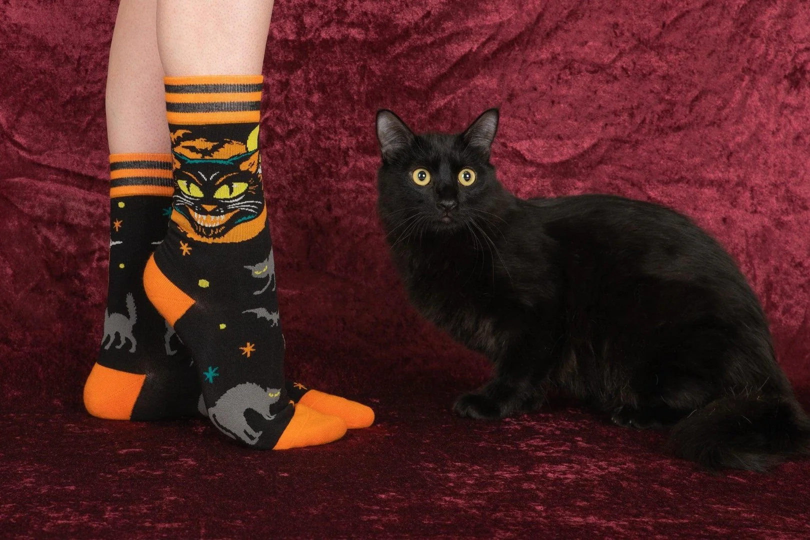 Vintage Black Cat Crew Socks - Image 6